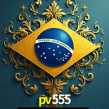 Interface Premium pv555